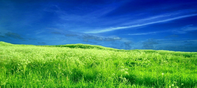 Blessed is the Man Whose Way is Blameless Blessed is the Man Whose Way is Blameless